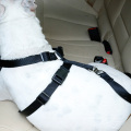 Ceinture de sécurité de voiture de chien d&#39;animal familier professionnel de confort avec la ceinture réfléchissante de chien de harnais de sécurité